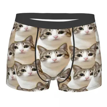 Roztomilé Mačky 3D Tlač Mužov Vtipné Mačku Bielizeň Cute Kitty Hot boxerky Nohavičky Muž Mäkké Spodky Boxerky Pack Tlač Polyester