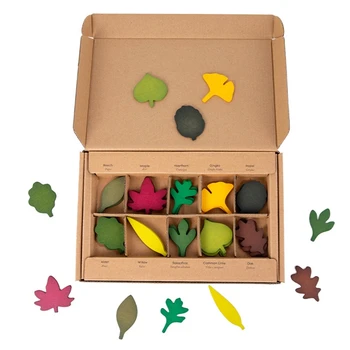 Drevené listy Montessori Hračka pre Batoľa, dieťa Predškolského identifikácia Kognitívne hračky